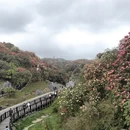 贵阳旅游 缩略图 4
