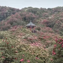 贵阳旅游 缩略图 5
