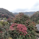 贵阳旅游 缩略图 3