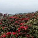 贵阳旅游 缩略图 6