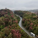 遵义旅游 缩略图 3