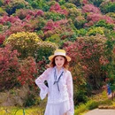 毕节旅游 缩略图 12