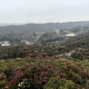 贵阳旅游 缩略图 7