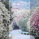 毕节旅游 缩略图 5