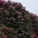 毕节旅游 缩略图 7