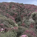 贵阳旅游 缩略图 17