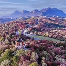 毕节旅游 缩略图 3
