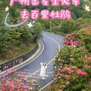 毕节旅游 缩略图 2