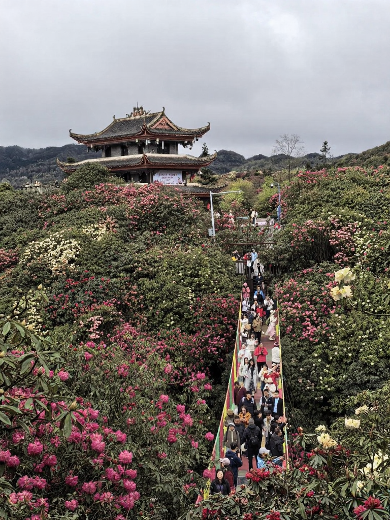 毕节旅游