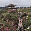毕节旅游 缩略图 1