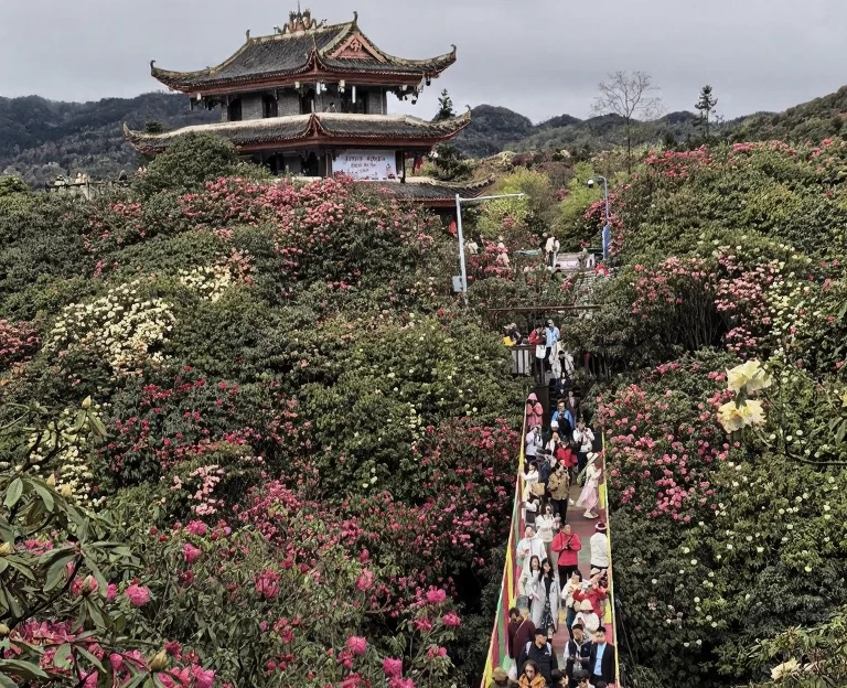 毕节旅游 1