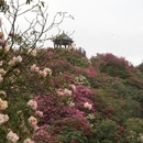 毕节旅游 缩略图 10