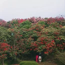 遵义旅游 缩略图 9