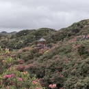 毕节旅游 缩略图 2