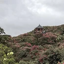 毕节旅游 缩略图 4