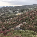 毕节旅游 缩略图 3
