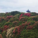 遵义旅游 缩略图 7