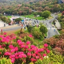 遵义旅游 缩略图 10