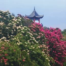 遵义旅游 缩略图 5