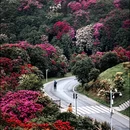 毕节旅游 缩略图 1
