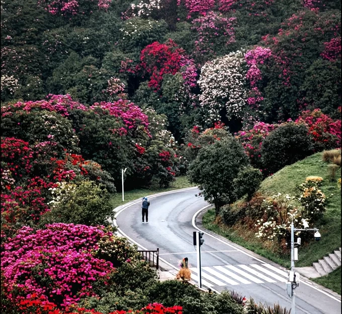 毕节旅游 1