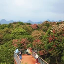 遵义旅游 缩略图 8