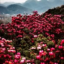 毕节旅游 缩略图 3