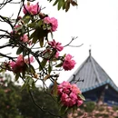 遵义旅游 缩略图 6