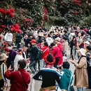 毕节旅游 缩略图 4