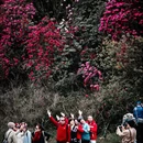毕节旅游 缩略图 2