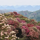 毕节旅游 缩略图 2