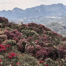 毕节旅游 缩略图 6