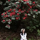 遵义旅游 缩略图 10
