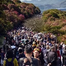 遵义旅游 缩略图 1