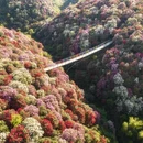 毕节旅游 缩略图 4