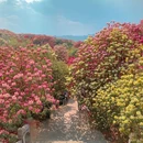 毕节旅游 缩略图 1