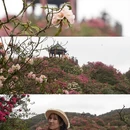 毕节旅游 缩略图 5