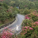 毕节旅游 缩略图 7