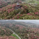 遵义旅游 缩略图 14
