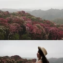 毕节旅游 缩略图 6