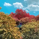 毕节旅游 缩略图 2