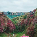 毕节旅游 缩略图 5