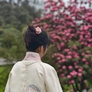 毕节旅游 缩略图 10