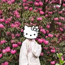毕节旅游 缩略图 9