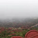 毕节旅游 缩略图 8