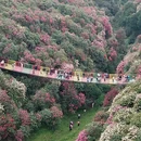 遵义旅游 缩略图 15