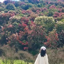 遵义旅游 缩略图 2