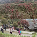遵义旅游 缩略图 17