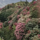 毕节旅游 缩略图 12