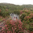 毕节旅游 缩略图 8